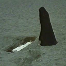 Profile picture of π₯ π―πππππ πΈπππ π₯